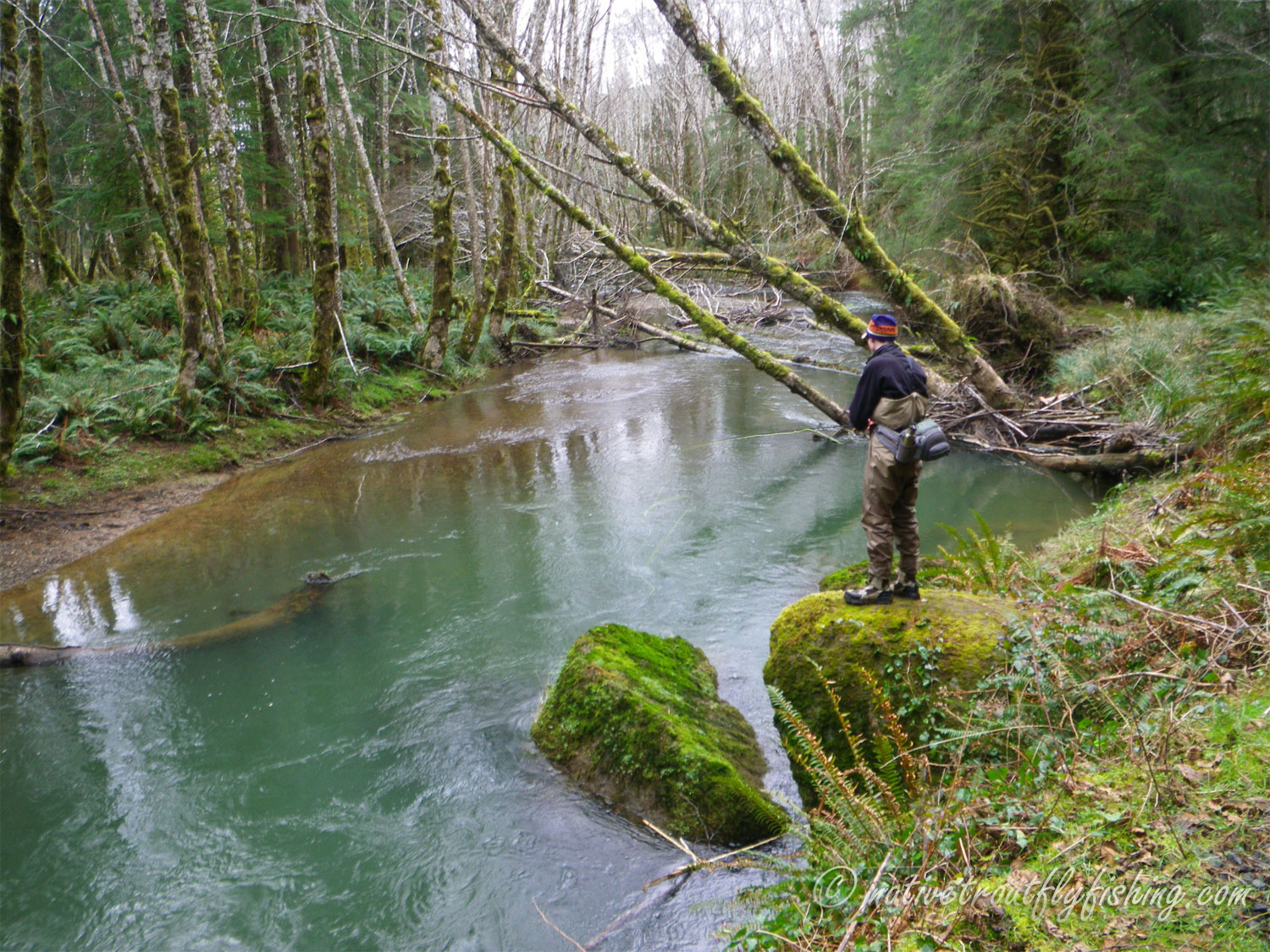 Fly Tying: April, 2017 - Clackamas FlyFishers