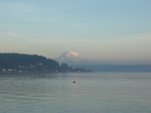 Native Trout Fly Fishing: Fly Fishing the Puget Sound